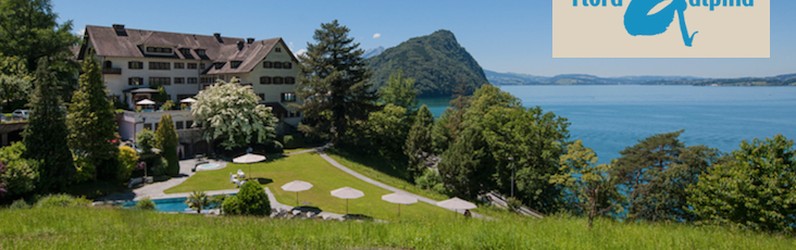 Servicemitarbeitende (a) 70-100%