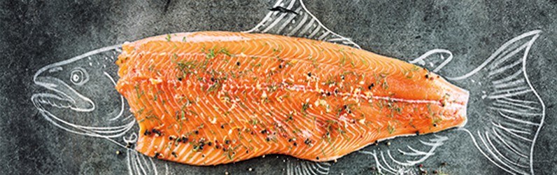 Geschäftsführer / Betriebsleiter (m/w/d)