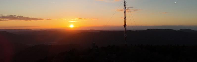 Koch / Köchin m/w/d
