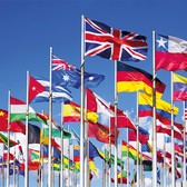 DIPLOMATIC CONSULTING