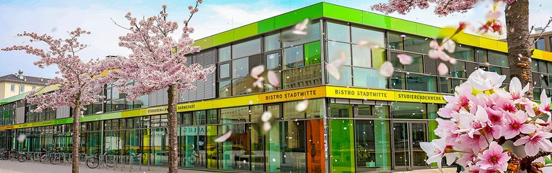 Haustechniker/in (m/w/d)