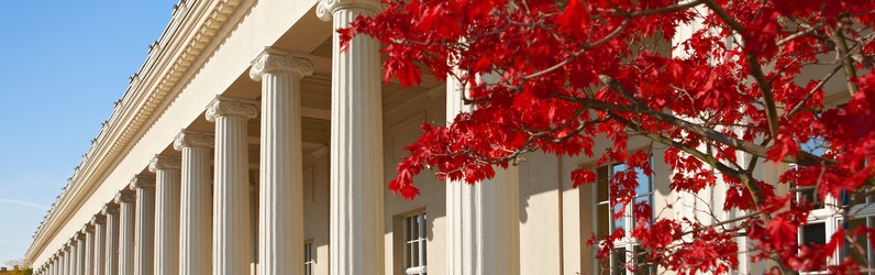 Senior Projektleitung Kongress-Catering m/w/d