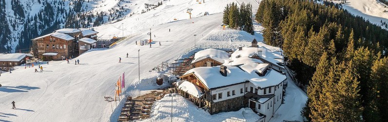 Speisenträger/Allrounder (m/w/d)