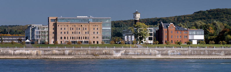 Meister SHK (m/w/d)