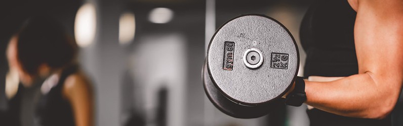 Duales Studium Fitnessökonomie/Gesundheitsmanagement