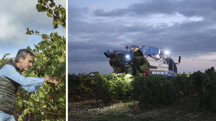 Drei Fragen an Mario Muñoz Blanco, Exportchef C.R.D.O. Rueda Drei Fragen an Mario Muñoz Blanco, Exportchef C.R.D.O. Rueda