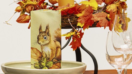 Skippy-Servietten Naturmotive wie auf den „Skippy“-Servietten von Mank