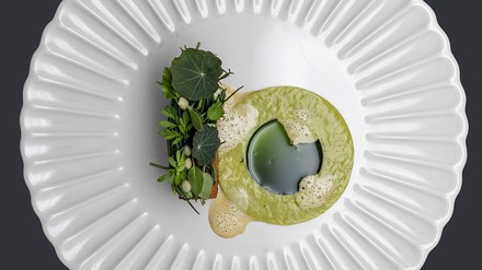 Alpenforelle Alpenforelle mit Forellenkaviar, eingemachter Kiwi, grüner Currysauce Risotto mit Currykraut, Kürbis, Scampi, Bitterschokolade