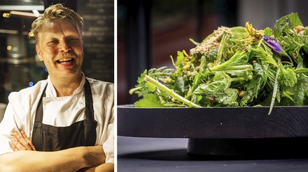 Kräuterflüsterer Der Kräuterflüsterer Sami Tallberg