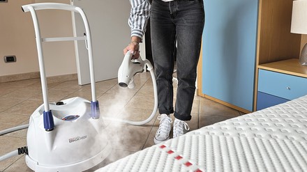 Bettwanzenbekämpfung Bettwanzenbekämpfung ohne Chemie