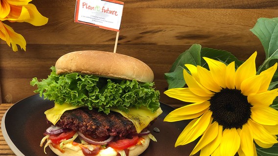 Vegane Fleischpflanzerl