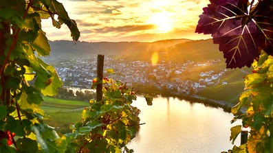 Wenn der Herbst zum Beginn wird