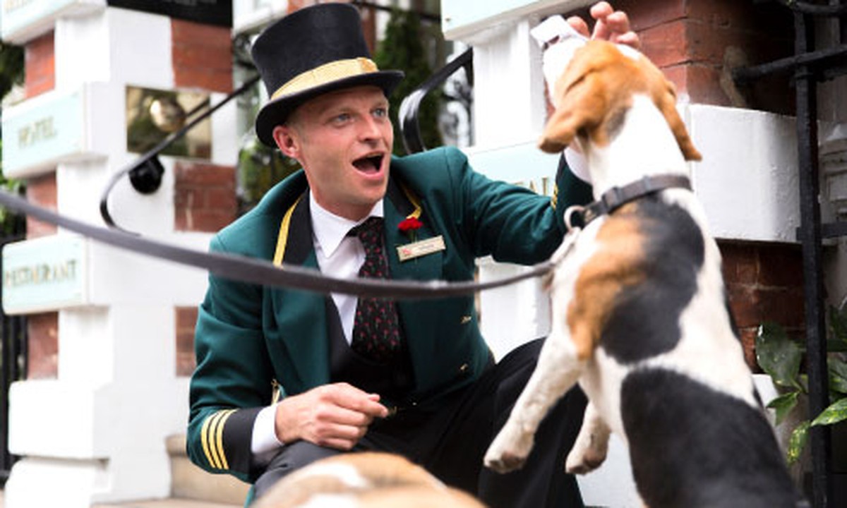 iStockphoto Auf den Hund gekommen