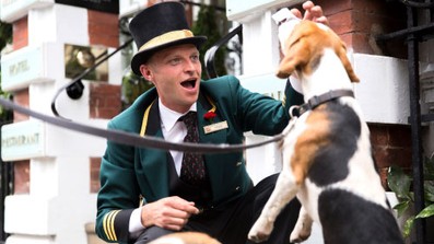 Auf den Hund gekommen