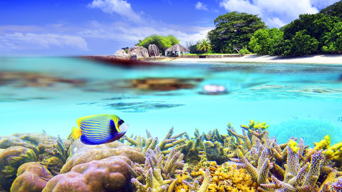 Foto: iStockphoto Hawaii