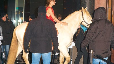 Ein Pferd auf dem Flur