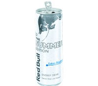 Red Bull Sommerflügel