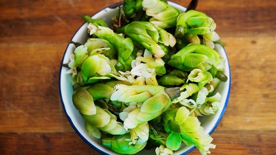 was Generationen nährt