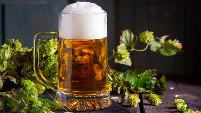 Die neuesten Trends rund um Hopfen und Malz