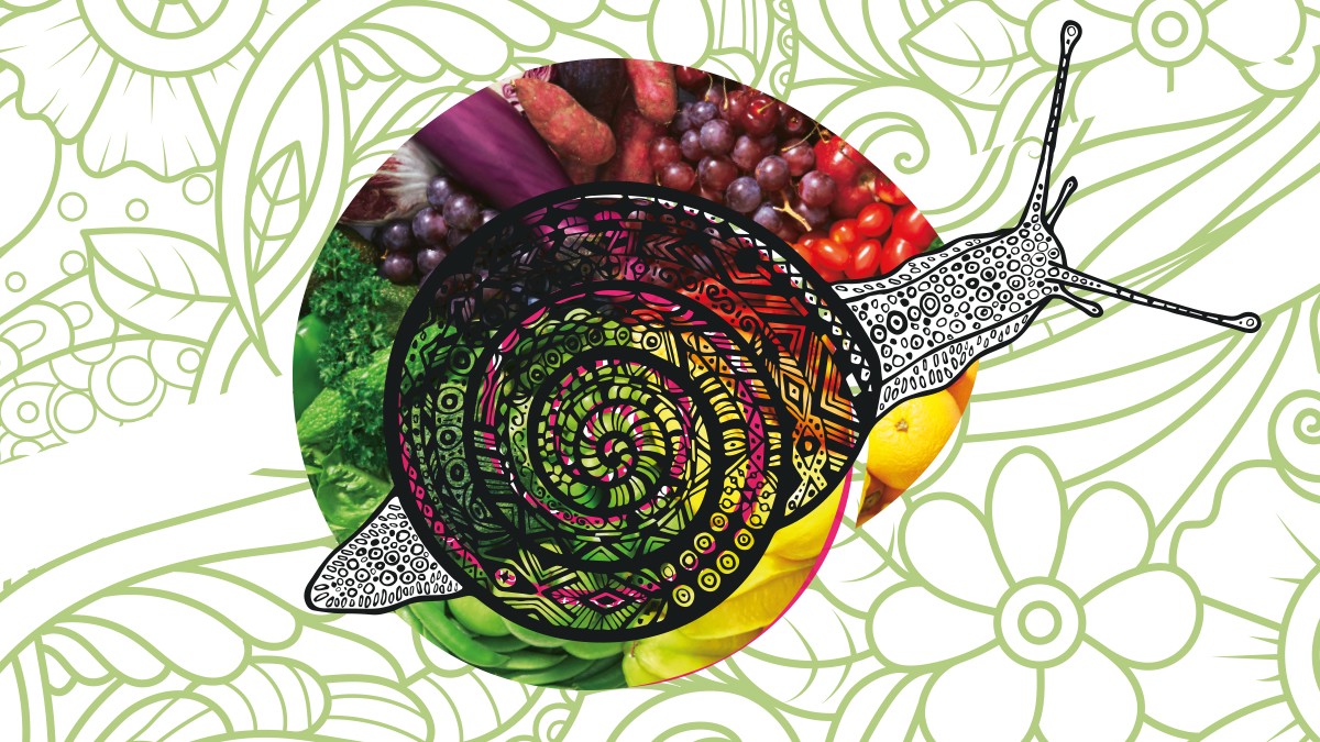 Gut Ding braucht Weile