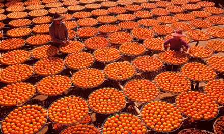 Taiwanesische rote Früchte Taiwanesische rote Früchte