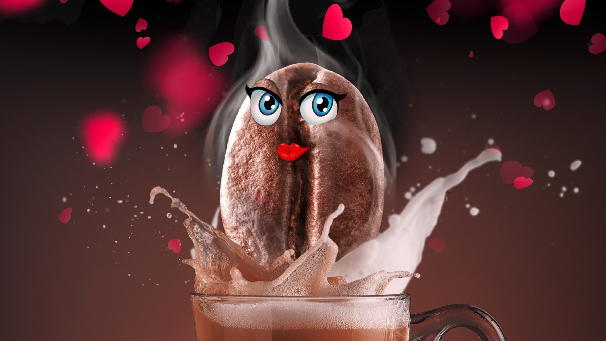 Fotos: iStockphoto
Kaffeebohne