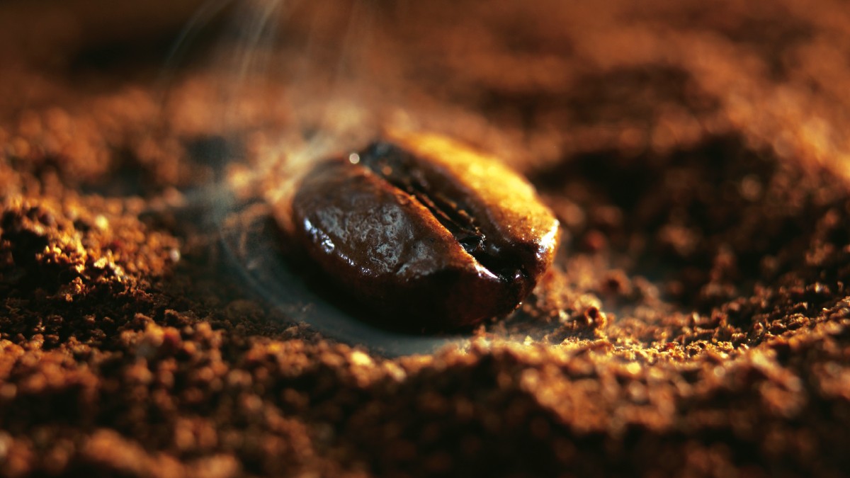 Foto: iStockphoto Die unschlagbare Bohne