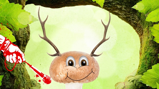 Der Pilz im Exklusiv Interview