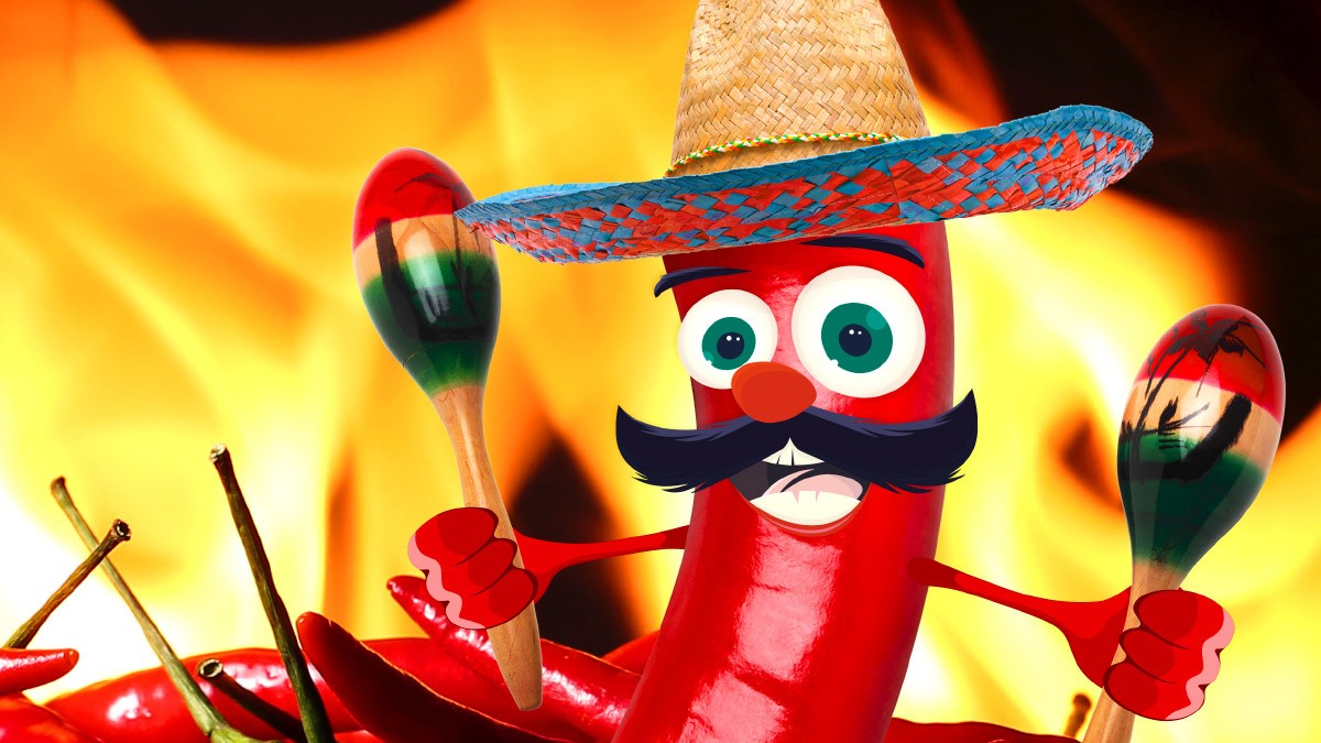 Fotos: iStockphoto
Chilli Interview