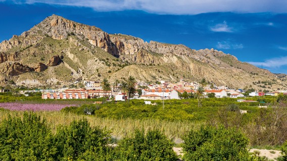 Stadt Land Vino Salud Murcia