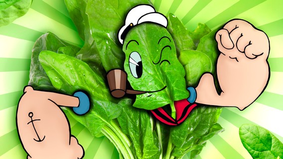 Der Spinat im Exklusiv-Interview