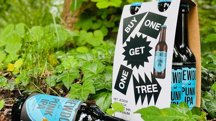 Punk IPA 4er Pack BrewDog