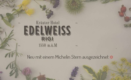 Screenshot Website Kräuter Hotel Edelweiss