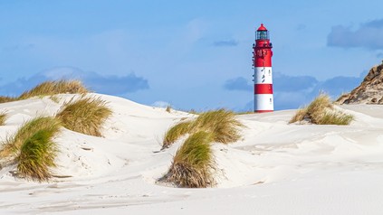 Die Insel Amrum