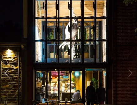 In der Pizzeria Etica in Adelaide, Australien, hängt eine tote Kuh von der Decke. (Foto: © Etica/facebook.com)