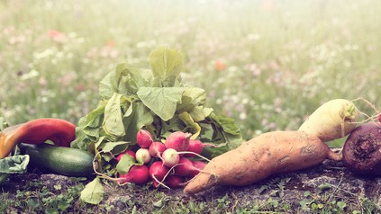 Gemüse auf einer Wiese
