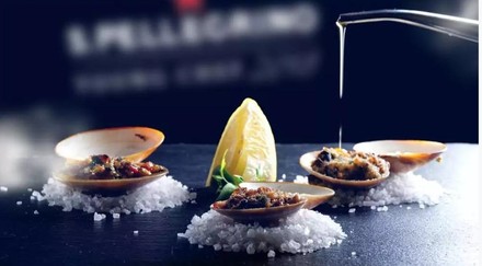 Das Logo von S.Pellegrino