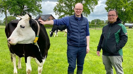 Die Milchkuhdamen Flauschi und Hirondell produzieren ihre Milch ausschließlich und exklusiv für den Breidenbacher Hof.
