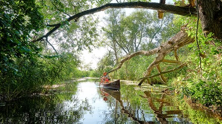 Frau mit Hund beim Kanufahren
