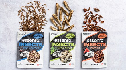 Insect-Snacks von Essento