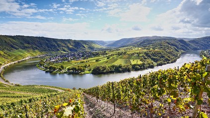 Moselschleife