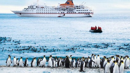 Die MS Hanseatic in der Antarktis vor einem Strand mit Pinguinen