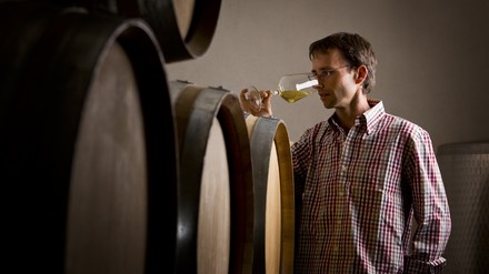 Ein Winzer in einem Weinkeller