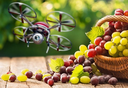 Eine Drohne über einem Korb Weintrauben