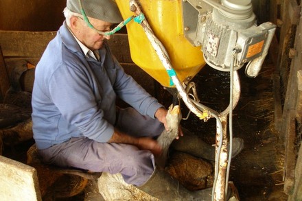 Ein Bauer füttert eine Gans mit einer Maschine