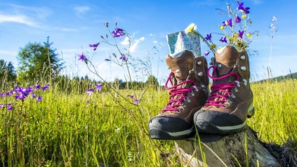 Ein Paar Wanderschuhe in einer Blumenwiese in denen Blumen und eine Wanderkarte stecken