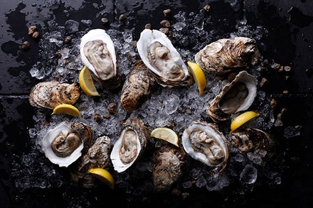 Austern auf Eis mit Zitronenscheiben