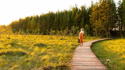 Junge Frau geht auf einem Bohlenweg spazieren, der über eine Wiese am Waldrand führt; Ecotourism, Ökotourismus