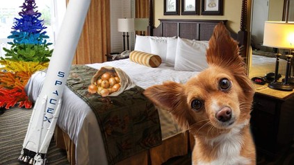 Ein Hotelzimmer, in dem ein Hund, ein Sack Zwiebelnd, eine SpaceX-Rakete und ein bunter Weihnachtsbaum vergessen wurden