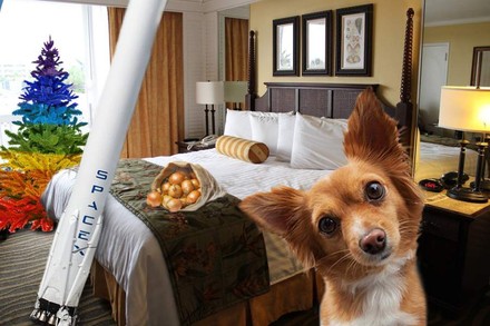 Ein Hotelzimmer, in dem ein Hund, ein Sack Zwiebelnd, eine SpaceX-Rakete und ein bunter Weihnachtsbaum vergessen wurden